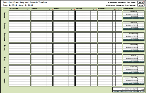 food journal template 5