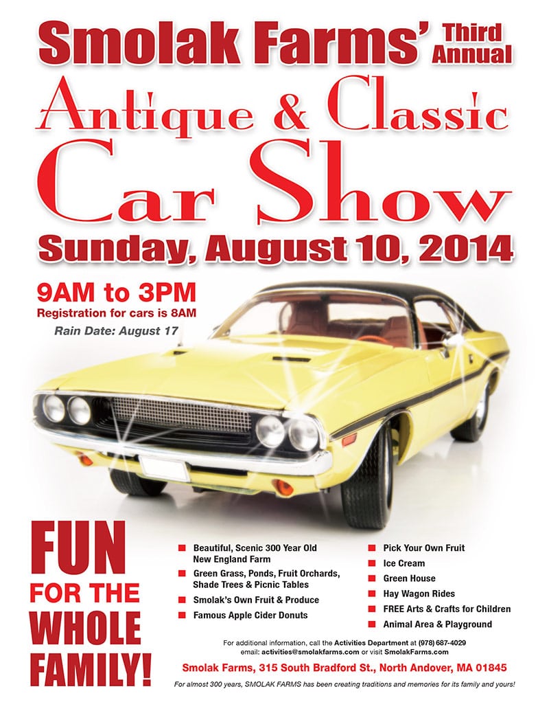 car shoe flyer