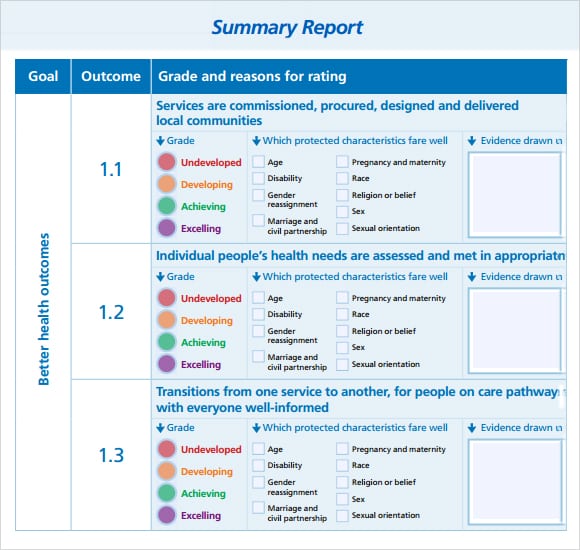 Summary Report Format