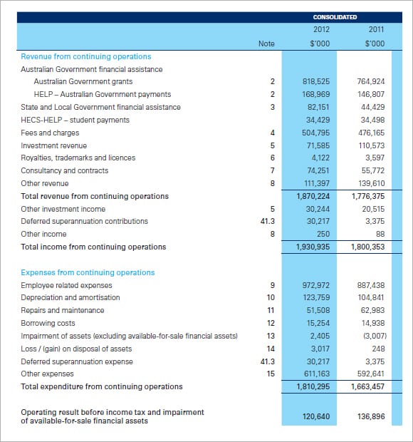 Profit and Loss statement image 1